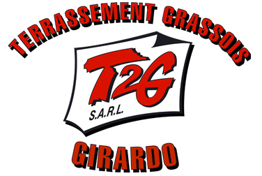 t2g logo