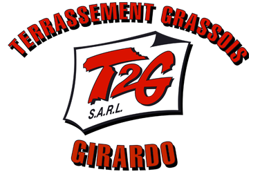 logo t2g